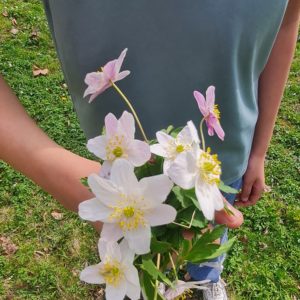 Schöne Blumen zu Ostern