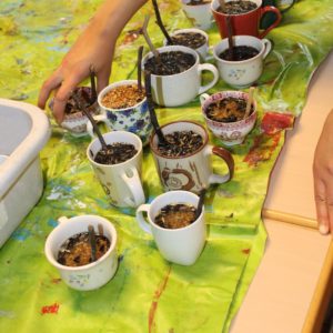 Gemeinsam stellen wir Vogelfutter her. 